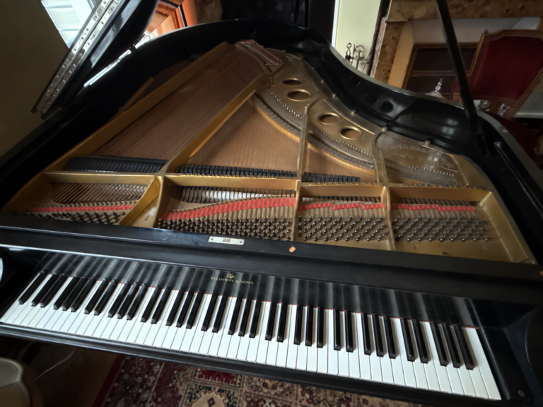 Piano à queue Steinway & Sons noir déjà vendu par AVBA, avec son clavier et ses cordes